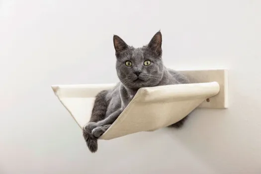 Kletterwand Monte Falco für Katzen, 6-teilig, beige - Wandkratzbaum beliebig montierbar und erweiterbar