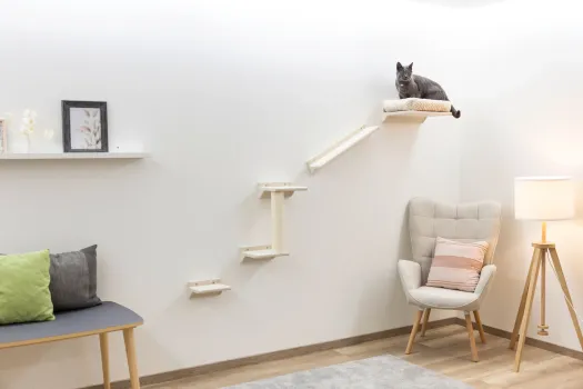 Kletterwand Monte Prado - 6 teiliger Wandkratzbaum für Katzen mit KLatzenbett, individuelle Montage, erweiterbar