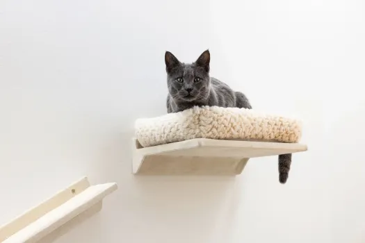 Kletterwand Monte Prado - 6 teiliger Wandkratzbaum für Katzen mit KLatzenbett, individuelle Montage, erweiterbar