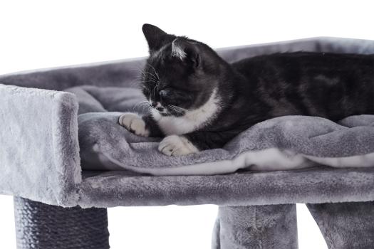 Nobby Kratzbaum Adile grau - mit XXL Katzenhöhle für große, schwere Katzenrassen z.B. Maine Coon