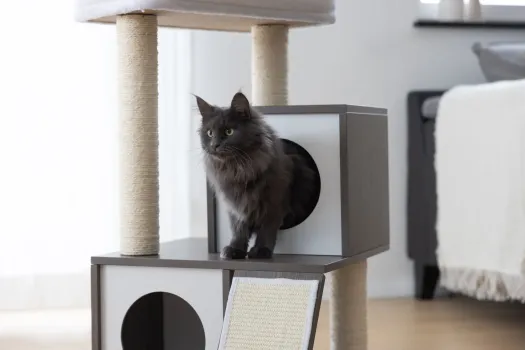 Kratzbaum für Katzen Flair - 86 cm - weiß / grau Echtholz, Designer Katzenbaum im edlen Look