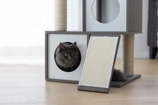 Kratzbaum für Katzen Flair - 86 cm - weiß / grau Echtholz, Designer Katzenbaum im edlen Look