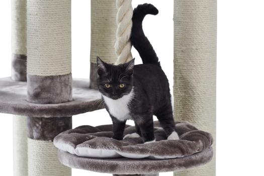 Nobby Kratzbaum Fredo für große Katzen Höhe 158 cm - Katzenbaum mit großer Liegemulde