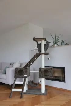 Kerbl Katzen Kratzbaum Granat 150 cm grau