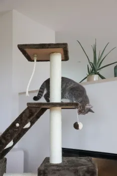 Kerbl Katzen Kratzbaum Granat 150 cm grau