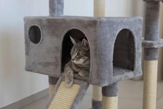 Kratzbaum Levi Kerbl für Katzen - hoher Katzenbaum 167 cm für kleine bis mittelgroße Katzen, ideal für mehrere Katzen