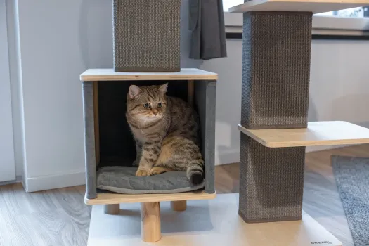 Kratzbaum Noah IV grau - Kerbl Designer Katzenbaum Echtholz, eckige Kratzsäulen, als Eckkratzbaum geeignet