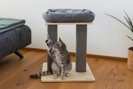 Kratzbaum Noah I grau - Kerbl Katzenbaum, gemütliches, waschbares  Katzenbett, eckige Kratzsäulen, als Eckkratzbaum geeignet