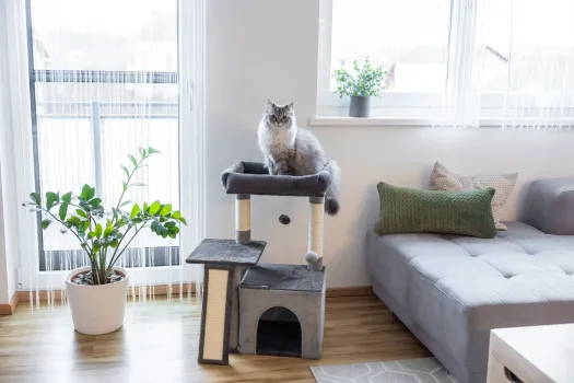 Katzen-Kratzbaum Rosalie - 76 cm - grau - von Kerbl