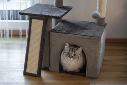 Katzen-Kratzbaum Rosalie - 76 cm - grau - von Kerbl