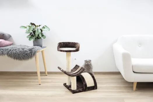Kerbl Pet Kratzbaum Safari – Katzenbaum für Katzen und Kitten zum Krallenwetzen, Klettern und Spielen