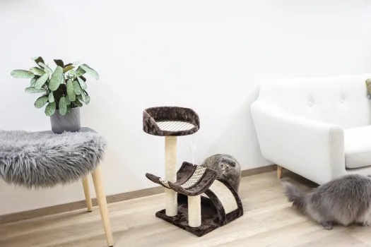 Kerbl Pet Kratzbaum Safari – Katzenbaum für Katzen und Kitten zum Krallenwetzen, Klettern und Spielen