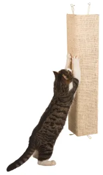 XL Kratzbrett Kevin - Wandkratzbrett, gerade oder für die Zimmerecke 80 x 28 cm
