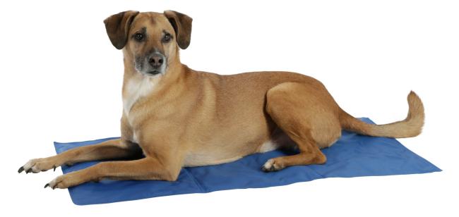 Kühlmatte für Hunde und Katzen Cool Relax - selbstkühlende Hundematte für den Sommer