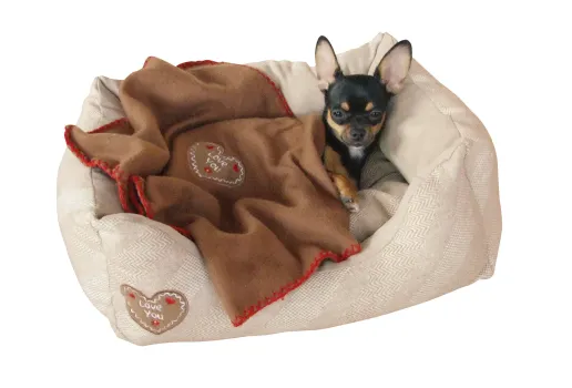Kerbl Love You Hundebett für kleine Hunde Chihuahua und Katzenbett inklusive Decke, waschbar