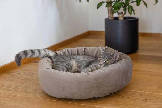 Katzenbett Velvet - Donut / Körbchen für Katzen und kleine Hunde z.B. Chihuahuas