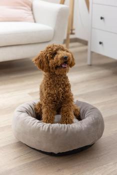 Katzenbett Velvet - Donut / Körbchen für Katzen und kleine Hunde z.B. Chihuahuas