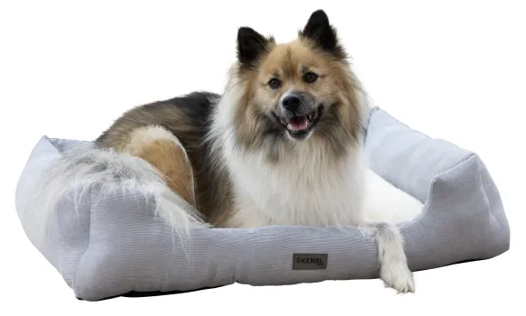 Hundebett und Katzenbett Zoe Kerbl - eckiges Körbchern Cordoptik, waschbar, niedriger Einstieg