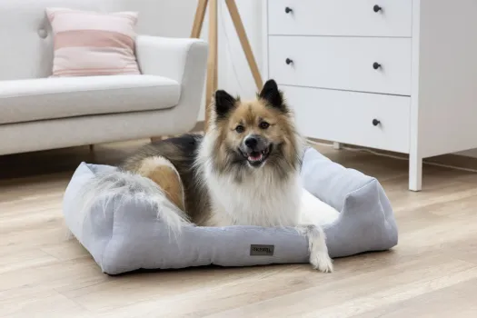 Hundebett und Katzenbett Zoe Kerbl - eckiges Körbchern Cordoptik, waschbar, niedriger Einstieg