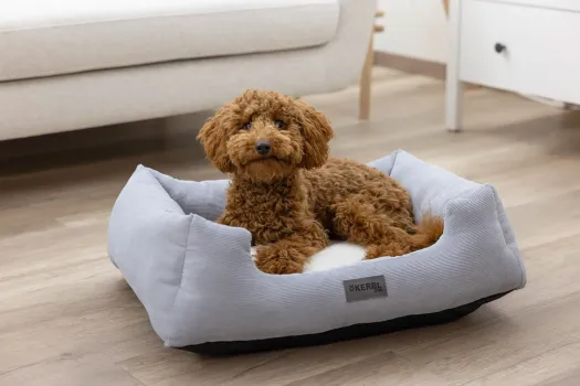 Hundebett und Katzenbett Zoe Kerbl - eckiges Körbchern Cordoptik, waschbar, niedriger Einstieg