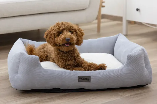 Hundebett und Katzenbett Zoe Kerbl - eckiges Körbchern Cordoptik, waschbar, niedriger Einstieg