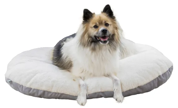 Hundekissen Zoe oval Cordoptik, ideale Einlage für den Hundekorb oder Hunderbox, waschbar