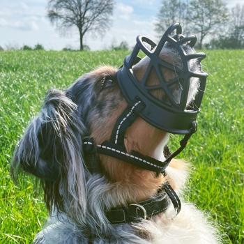 Nobby Maulkorb Comfort - ergonomischer Beißkorb für Hunde, schwarz, fressen und trinken problemlos möglich, maximaler Tragekomfort