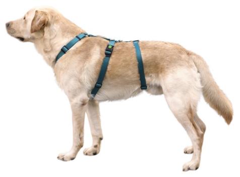 Panikgeschirr, Sicherheitsgeschirr Miami von Kerbl - ausbruchsicheres Hunde-Geschirr