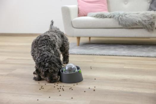Multifeeder - Snackball, Futterbar und Schleckteller in Einem für Hunde und Katzen