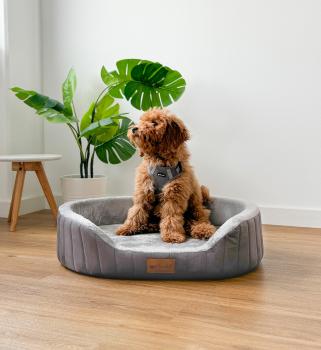 Orthopädisches Hundebett Petlando Genua Ortho in grau mit erhöhtem Rand