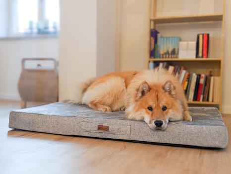 Petlando Merano grau