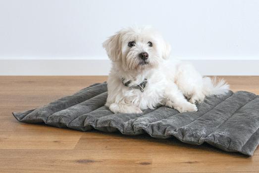 Reisedecke Hund grau - Petlando Travelmat Columbia anthrazit, waschbar - Reisebett -  Reisematte