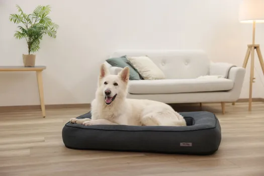 Orthopädisches Hundebett Platin Ortho eckig, grau - Hundekissen mit Rand, Bezug abnehmbar und waschbar mit Wendekissen