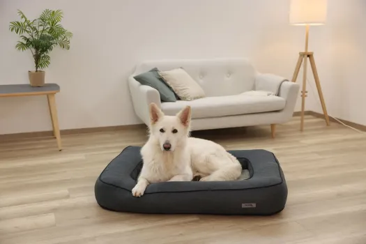 Orthopädisches Hundebett Platin Ortho eckig, grau - Hundekissen mit Rand, Bezug abnehmbar und waschbar mit Wendekissen