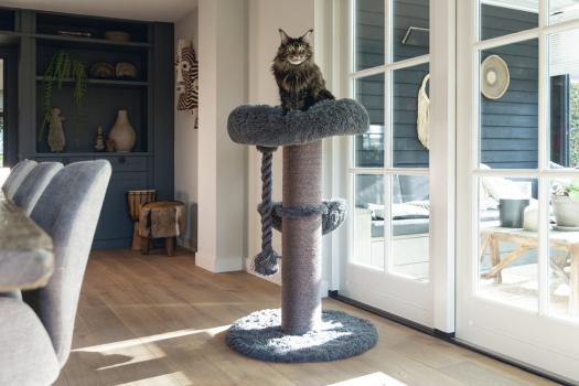 [B-Ware] Beeztees Kratzbaum Ramiro -120 cm- für große, schwere Katzen wie Maine Coon geeignet