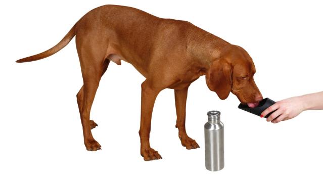 Trinkflasche und Reisenapf Hunde für unterwegs