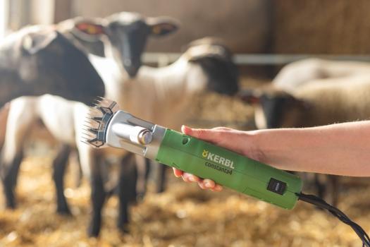 Schafschermaschine Kerbl constanta4 - gut bei Verfilzung oder Dreck im Fell - 230 V/400 W, 13/4 Zähne - Schermaschine für Schafe und Alpaka