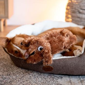 Kuscheltier Hund - Plüschtier Hund Schlappi - Stofftier für Hunde mit Quietscher