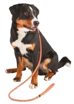 Schlupfleine Maxi Safe - Retrieverleine und Moxonleine geflochten für Hunde, reflektierend, 170 cm, mit Zugstopp
