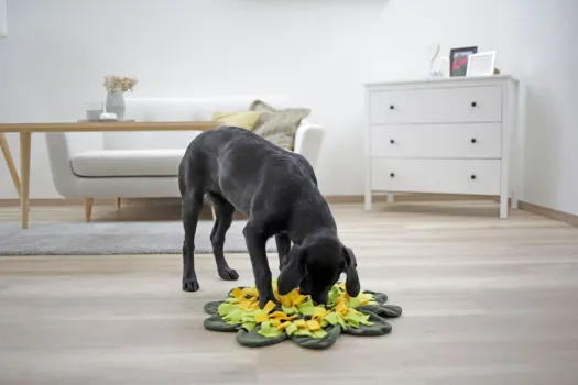 Schnüffelteppich Sunflower - Hundespielzeug für Suchspielzeuge und Schnüffelspiele, auch für Katzen