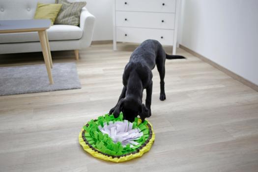 Schnüffelteppich Bowl - Schnüffelmatte und Antischlingnapf in Einem Ø 60 cm