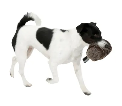 Futterdummy - Snackdummy für Hunde in Felloptik für Trockenfutter und Nassfutter
