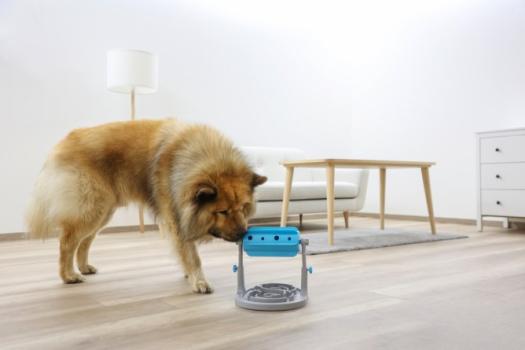 Intelligenzspielzeug und Antischling Napf für Hunde - Snackrolle Anti-Schling - Kerbl Pet