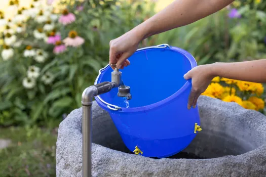 Geflügel Tränkeeimer - Geflügeltränke 12 Liter, blau / transparent, 4 Nippel zum Hinstellen