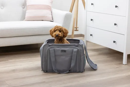 Transporttasche für kleine Hunde z.B. Chihuahuas und Katzen, mit Auslauf, ideal für Camping, Ausflüge etc 44 x 31 x 30cm