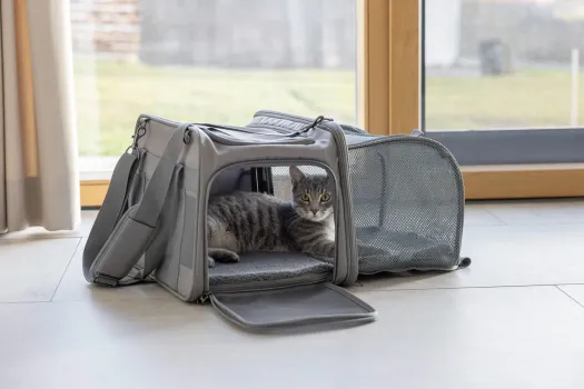 Transporttasche für kleine Hunde z.B. Chihuahuas und Katzen, mit Auslauf, ideal für Camping, Ausflüge etc 44 x 31 x 30cm