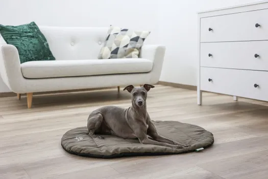 Hunde Reisebett faltbar Traveller - Reisedecke mit Tasche, waschbares Hunderkissen für unterwegs, braun 85 x 65cm ideal für Camping