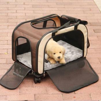 Tiertransport Trolley Move von Nobby - sicher Transport für Hunde und Katzen