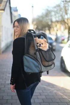 Hundetrolley Vacation 41 x 26 x 55 / 103 cm, grau / blau - Trolley für kleine Hunde - Transporttrolley als Autositz und Hunderucksack nutzbar