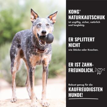 KONG Extreme Ball - sehr robustes Apportierspielzeug - befüllbar